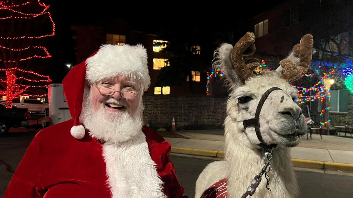 Meet the Llama-deers at the Martin Luther Campus Holiday Lights