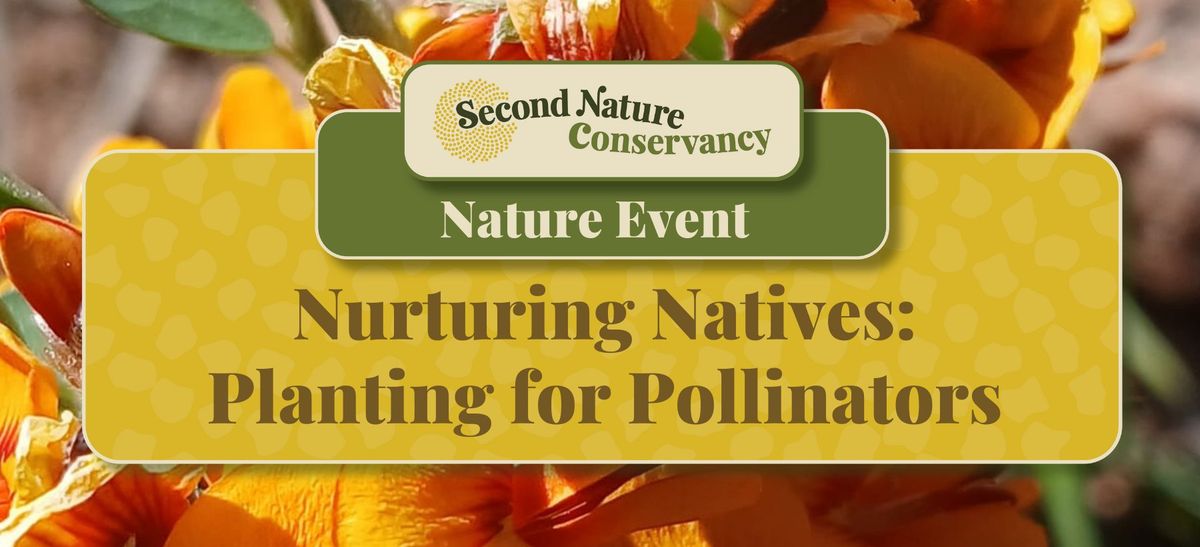 Nurturing Natives: Planting for Pollinators