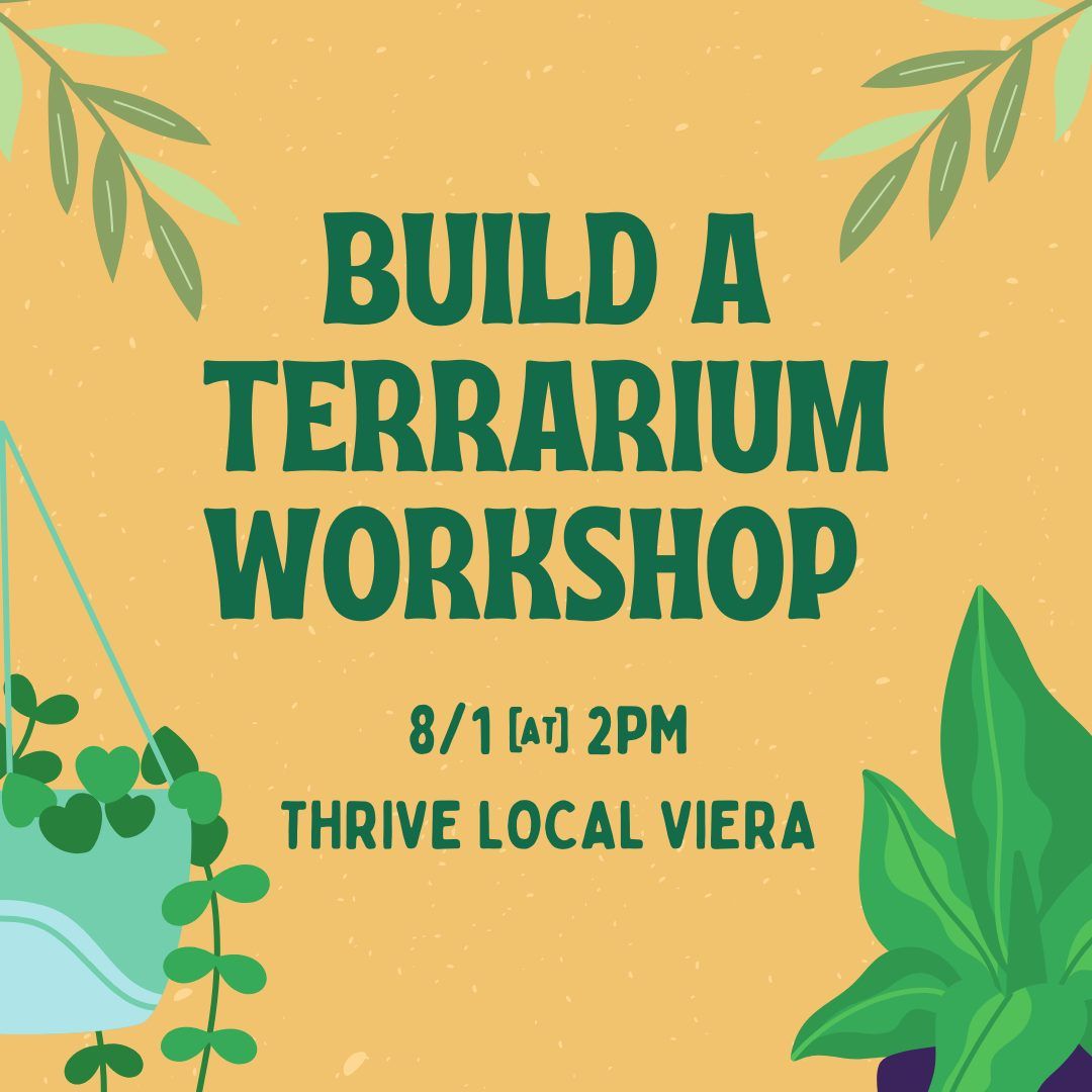 VIERA Build a Terrarium Workshop | 8\/1 @ 2PM