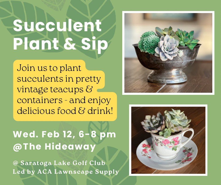 Succulent Plant and Sip