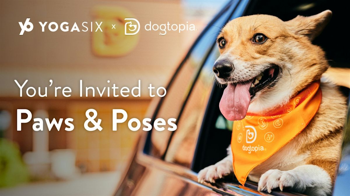 Puppy Yoga @ Dogtopia Stone Oak