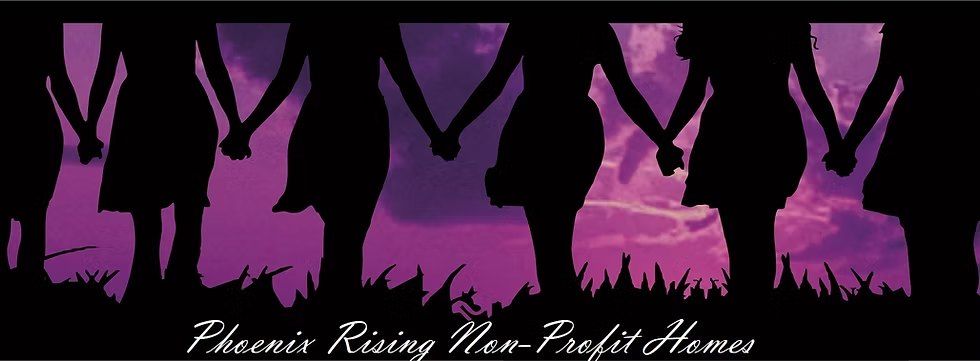 100+ Women Who Care & Phoenix Rising