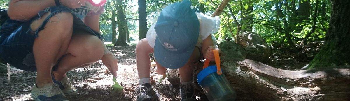 Woodland Explorers for primary aged children