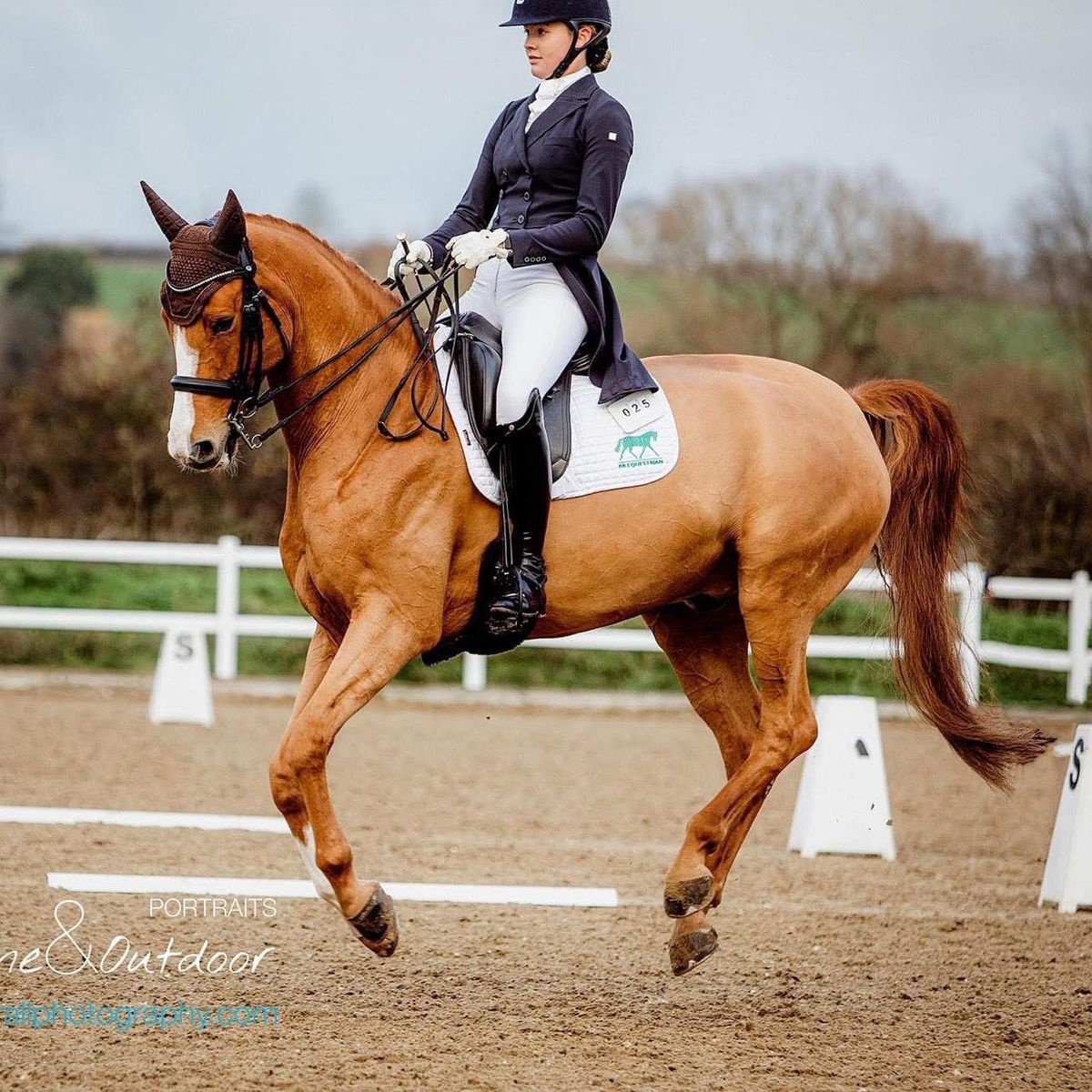 Dressage & Flatwork Training with Louise Gallavan