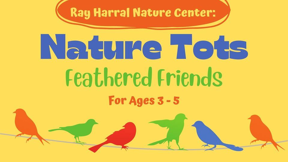 Nature Tots - Feathered Friends