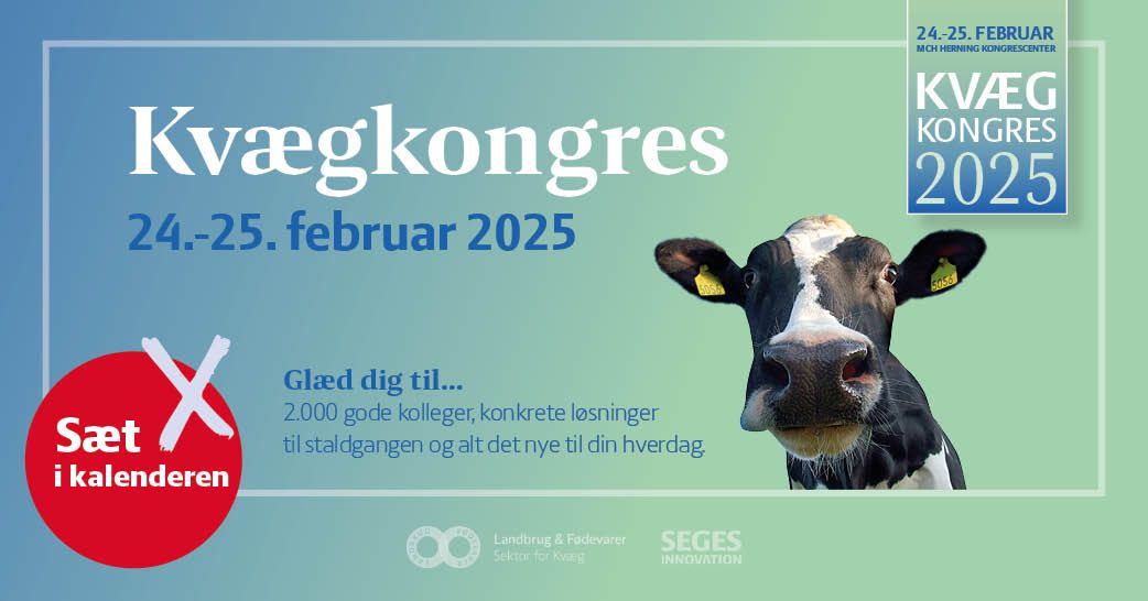 Kv\u00e6gkongres 2025