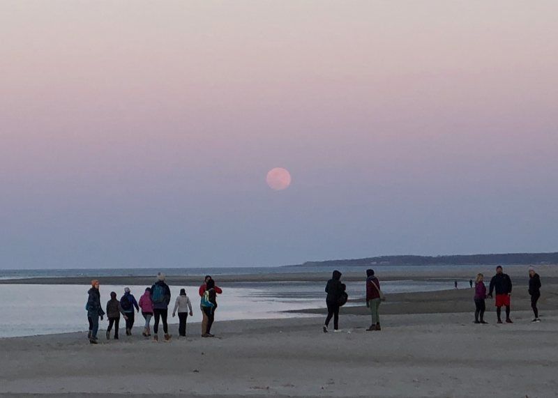 CraneOutdoors: Dunes by the Light of the Full Moon