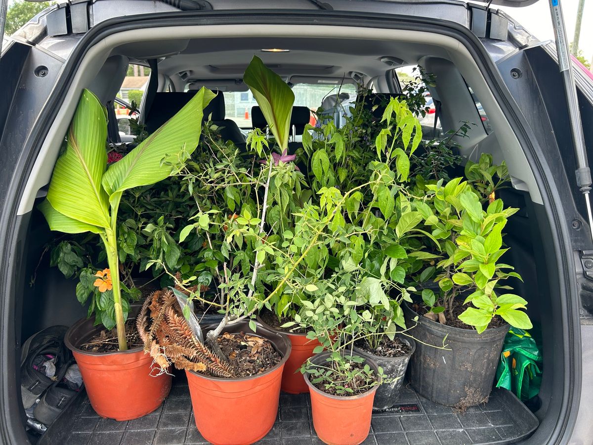 Avon Park Correctional Facility PLANT SALE - Field Trip