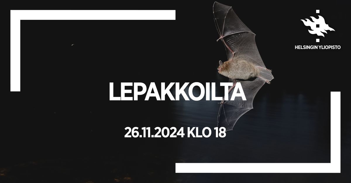 Lepakkoilta