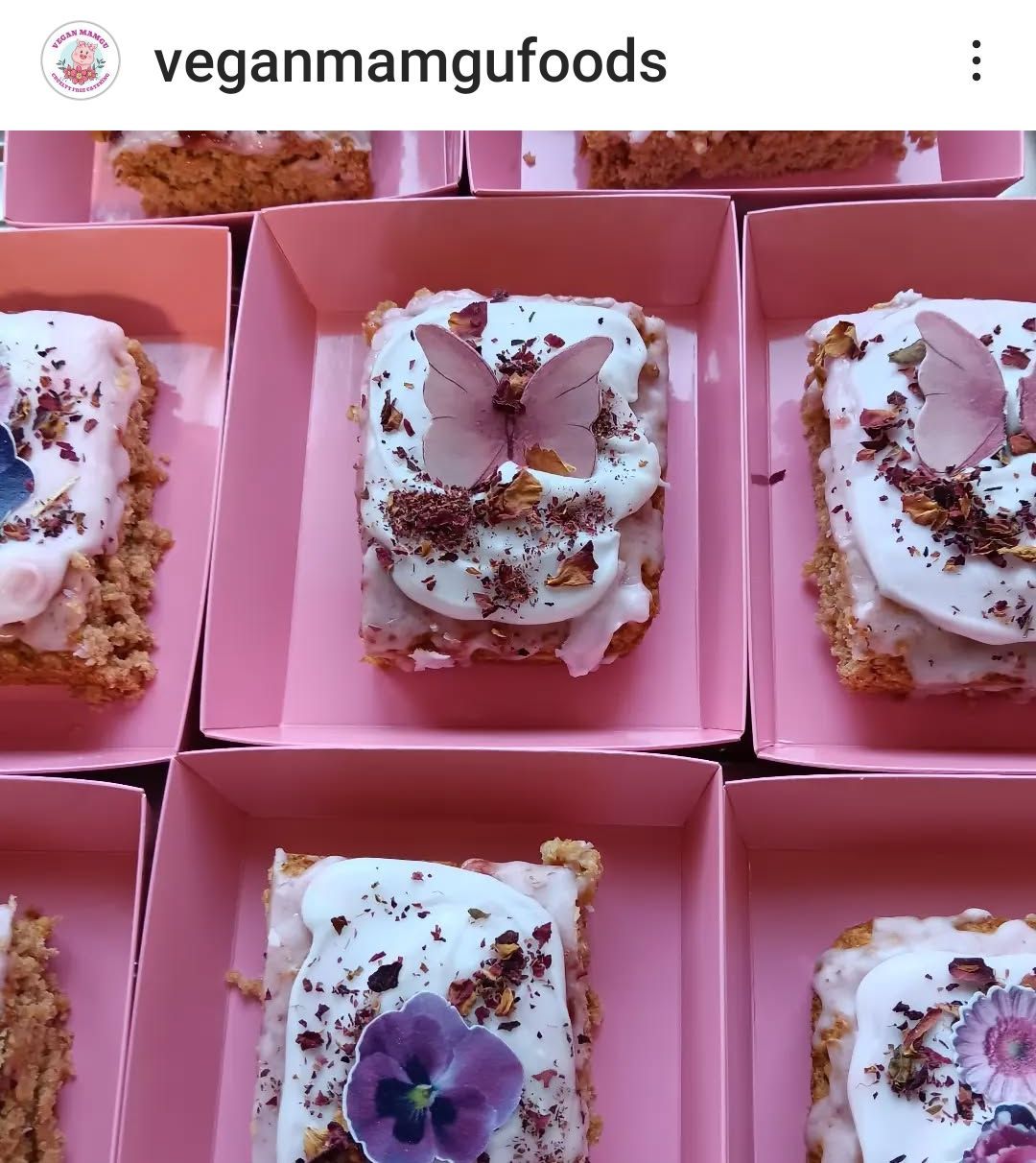 Vegan GF Food Pop-Up Killay