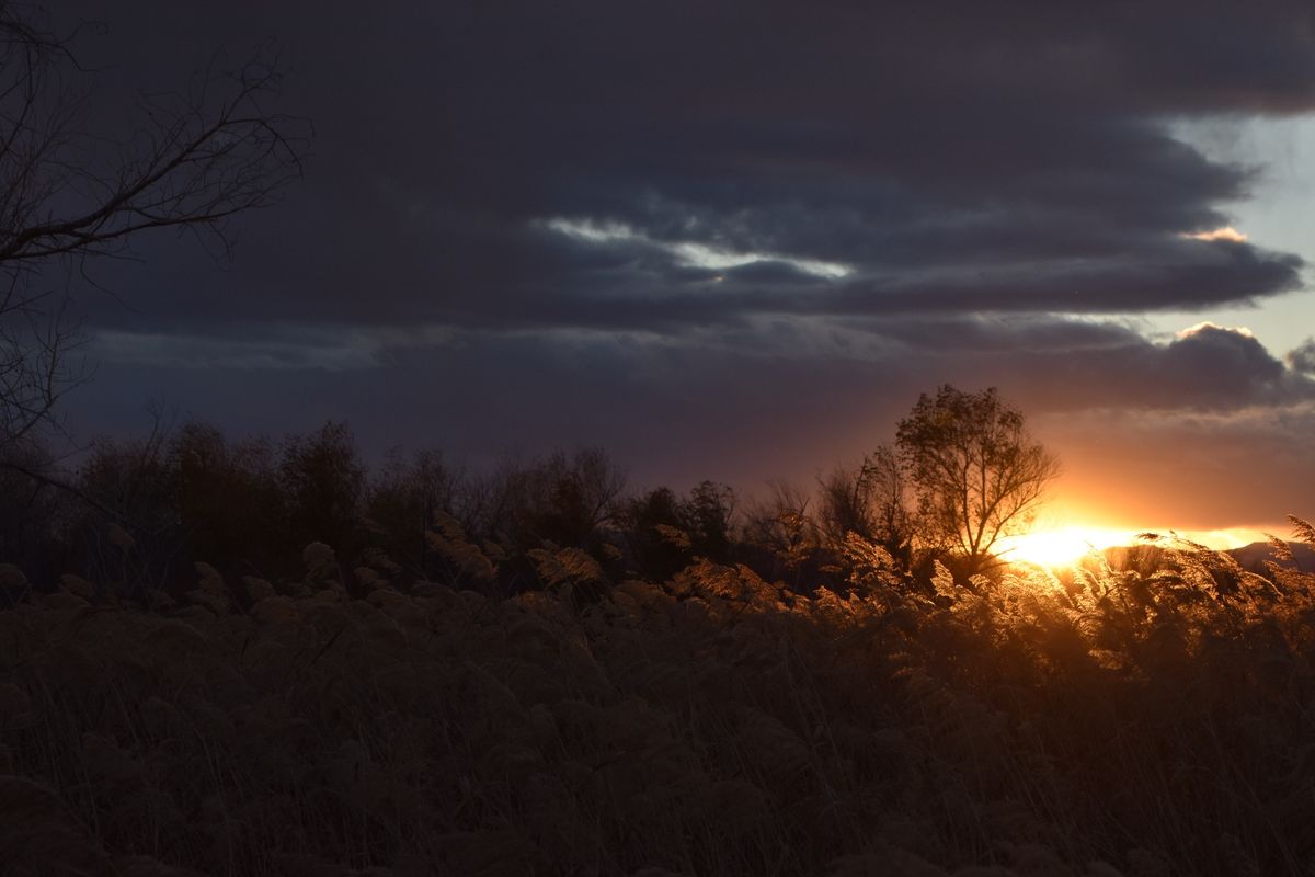 New Year's Eve Sunset Sendoff