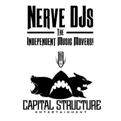 The NerveDJs & Capital Structure Ent.