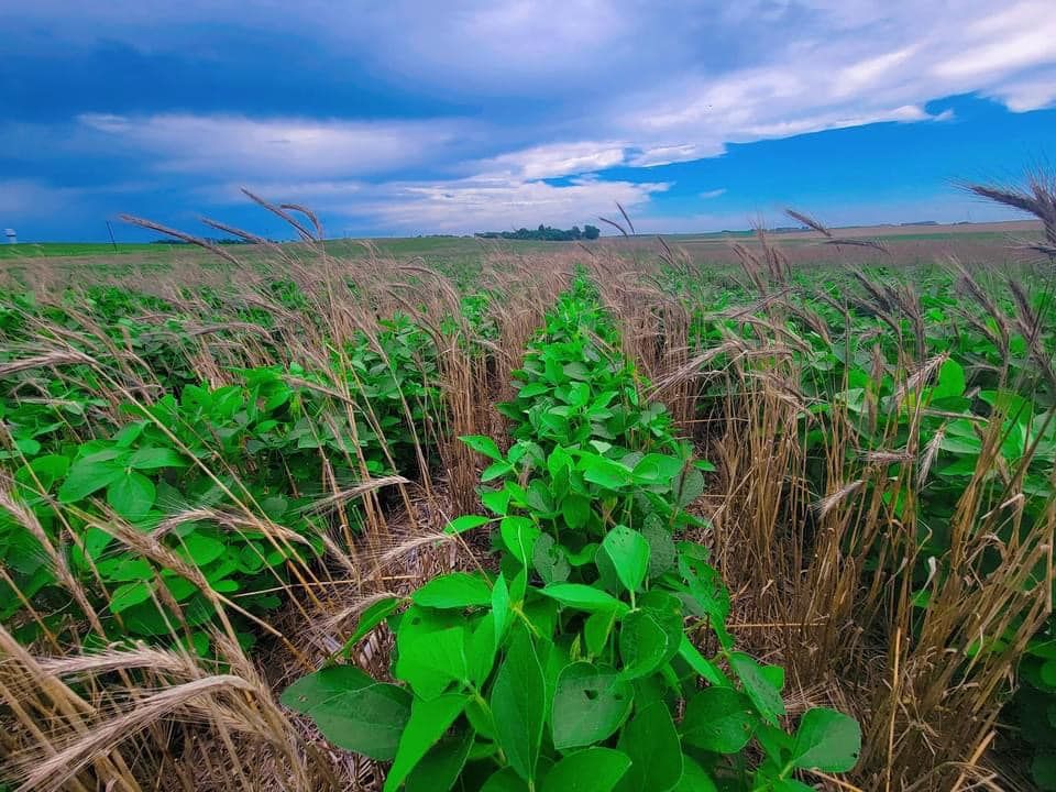 BIG SOIL HEALTH EVENT