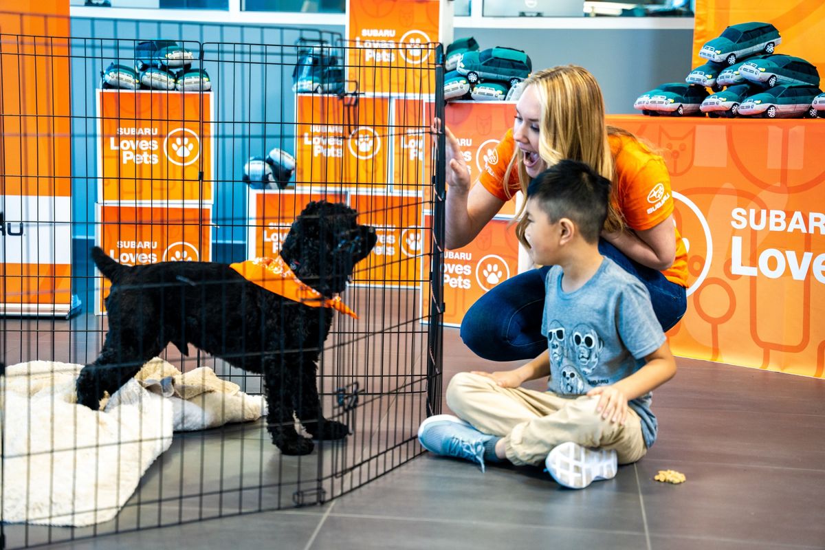 Subaru Loves Pets adoption event