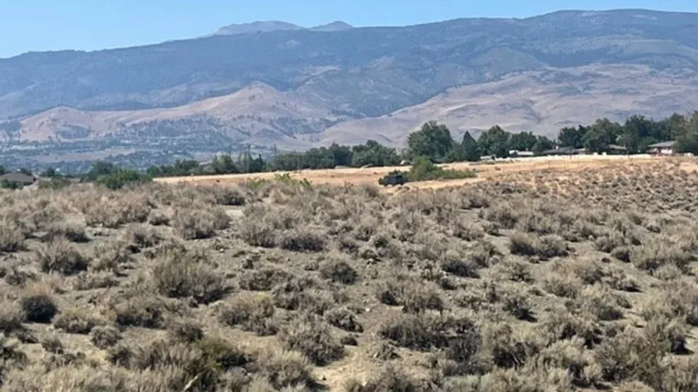 Evans Creek.   * Moderate*