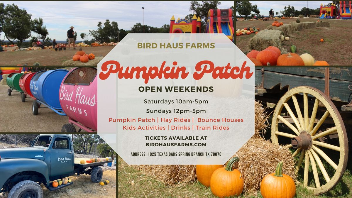 Pumpkin Patch at Bird Haus Farms