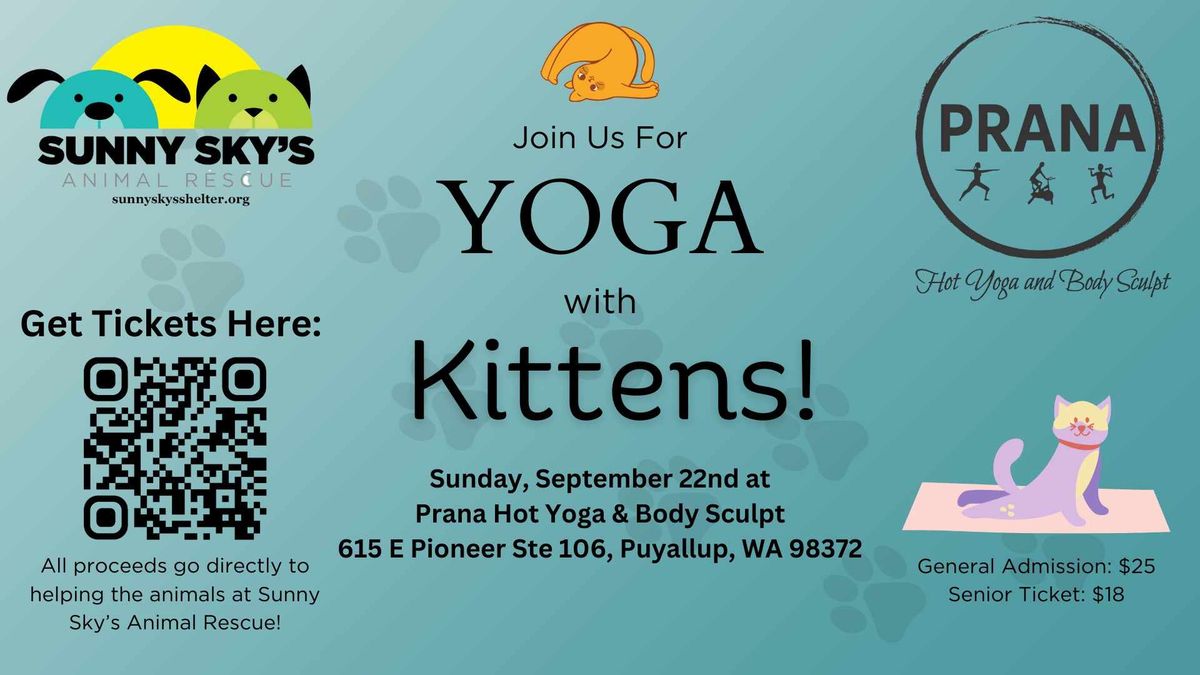 Yoga with Kittens