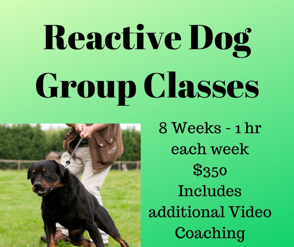 Group Reactive Class Birkdale