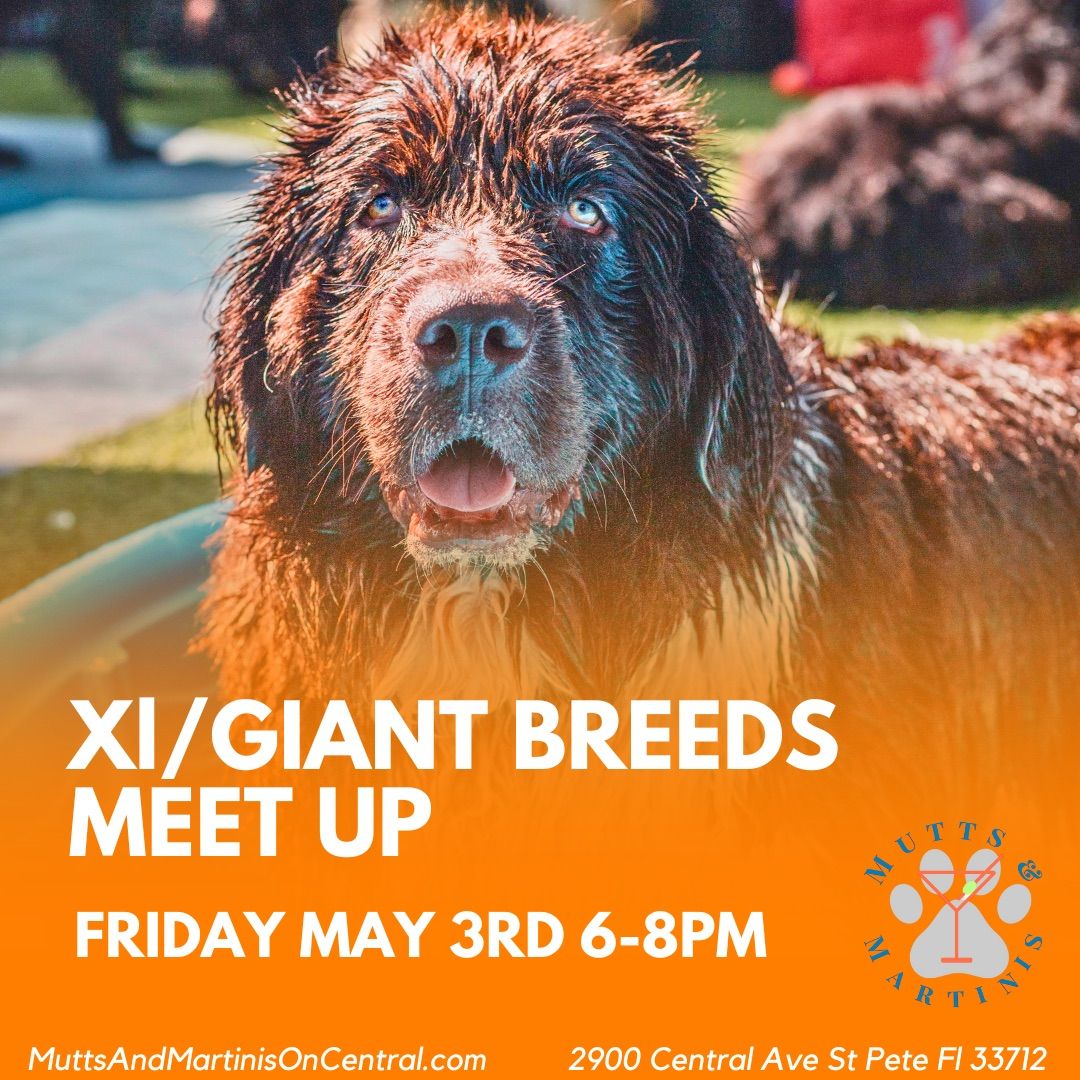 XL\/GIANT Breeds Meet Up