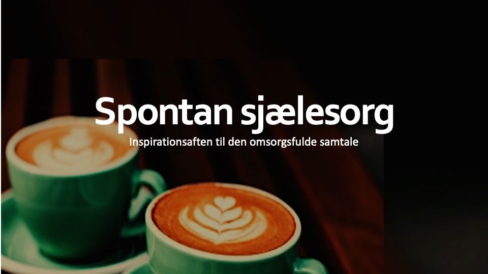 Spontan sj\u00e6lesorg - inspirationsaften til den omsorgsfulde samtale