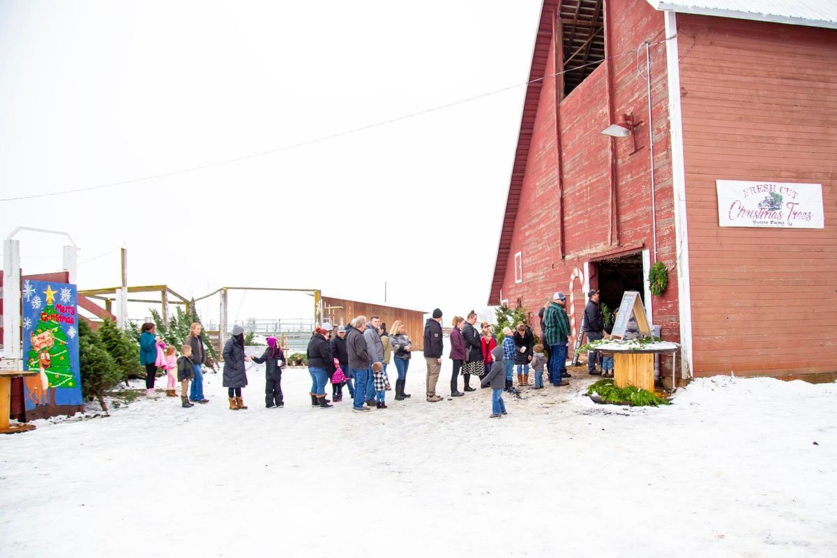 Christmas at the Farm