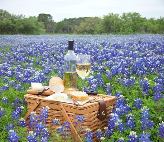 Fredericksburg Bluebonnet Wine and Cheese Festival