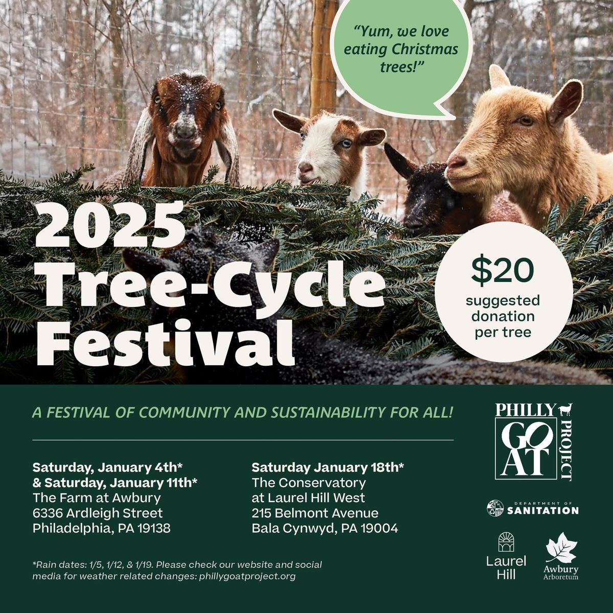 Tree-Cycle Festival #3