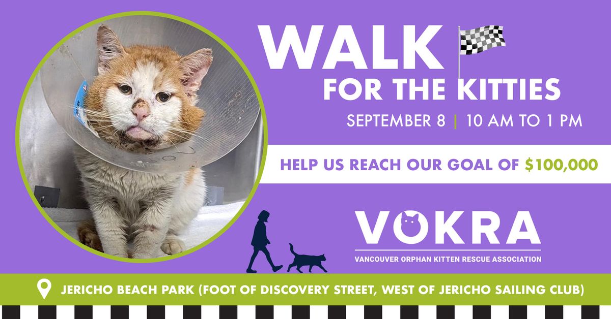 Walk For The Kitties 2024