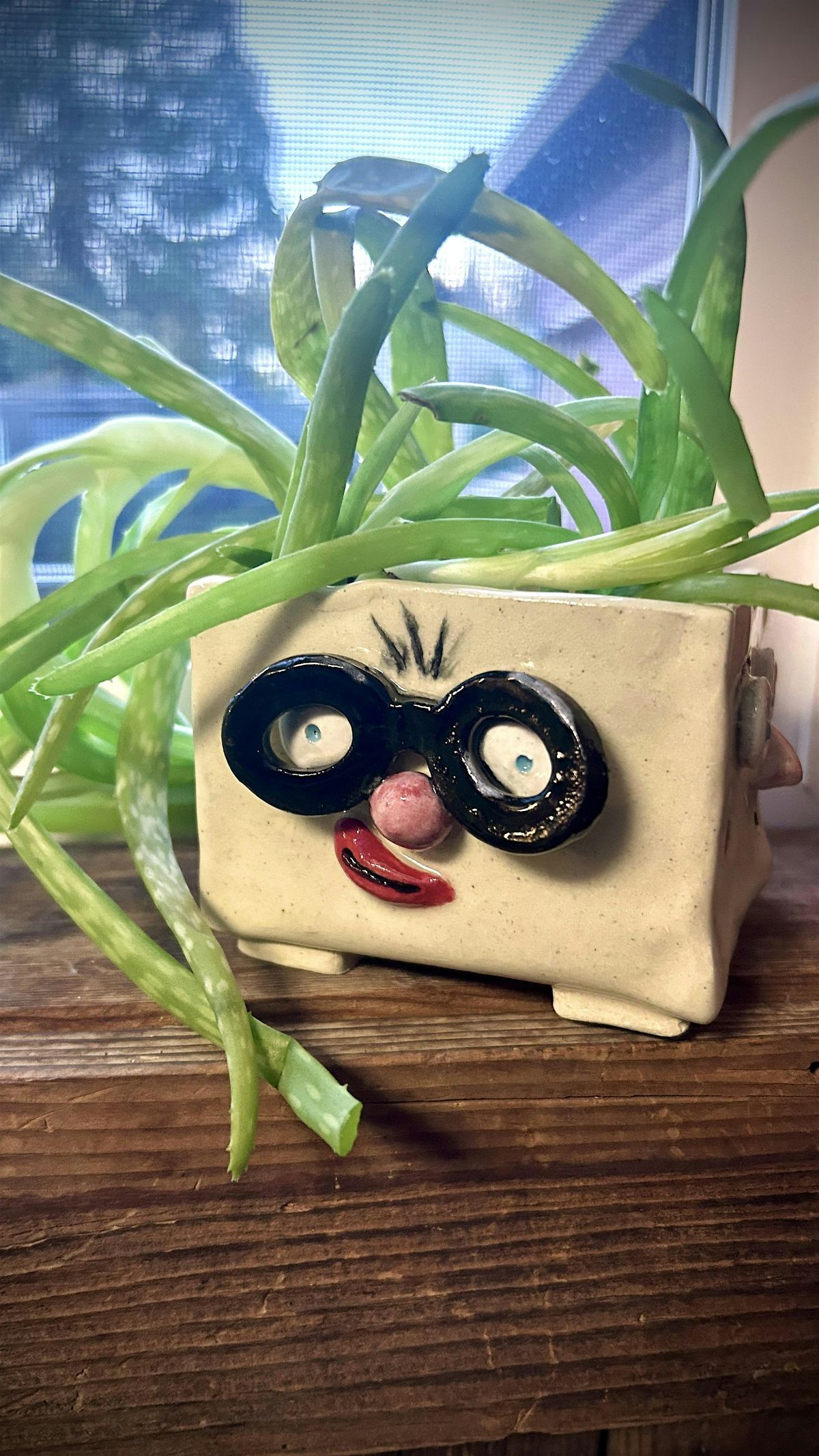 Build-A-Planter Pottery Experience
