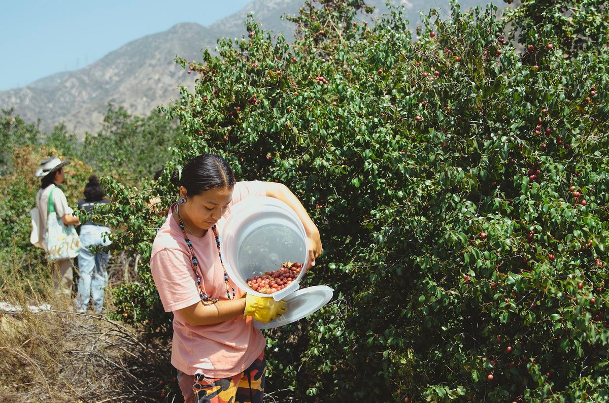 Metzli Projects Garden Class: The Land Sustains Us (Food) | Free