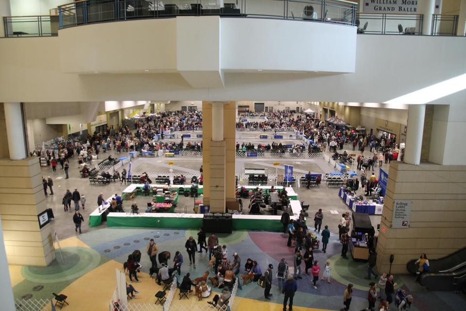 Land O'Lakes Kennel Club Dog Show 2023