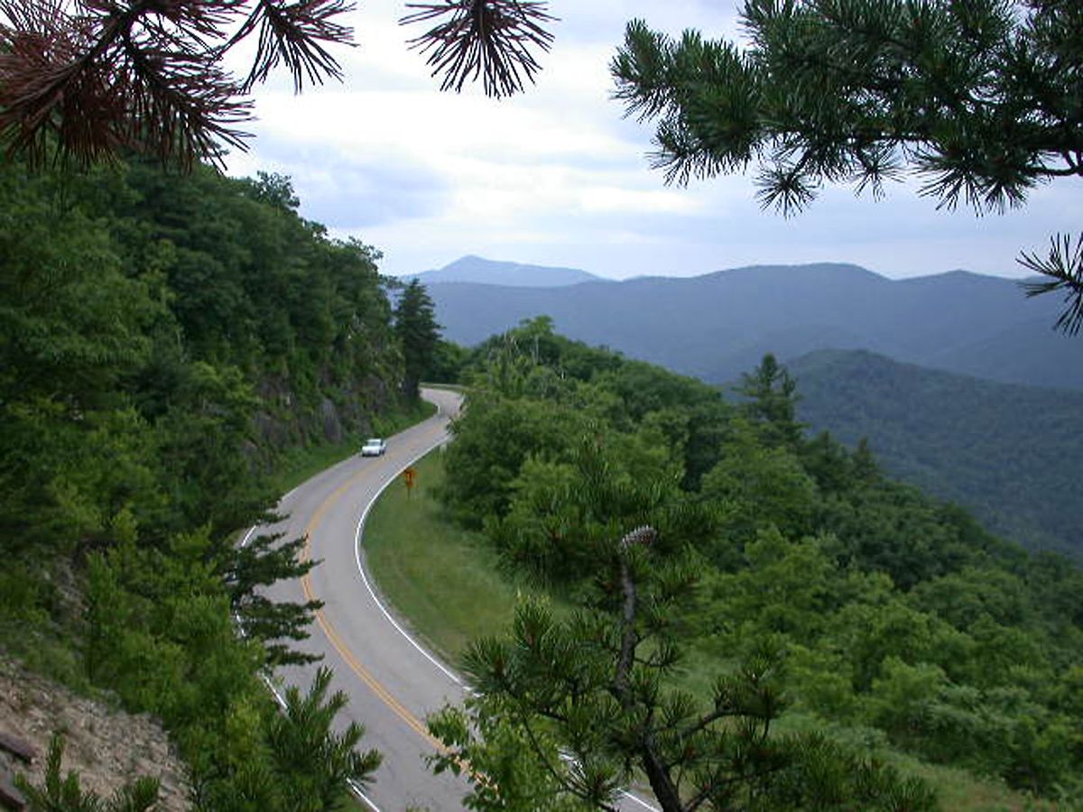 2025 Major Taylor Mountain Summit