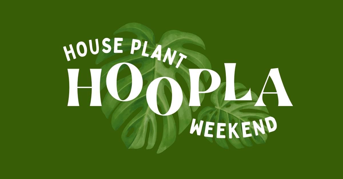 House Plant Hoopla