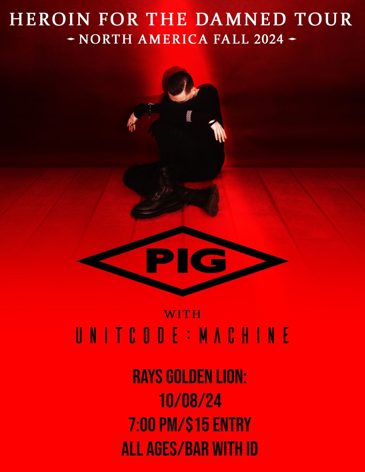 INDUSTRIAL NIGHT AT RAYS WITH PIG (ex KMFDM)