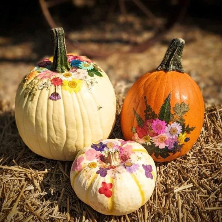 Pumpkin and Petals Workshop