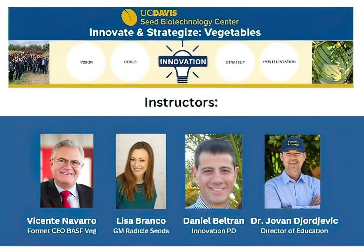 INNOVATE & STRATEGIZE: VEGETABLES