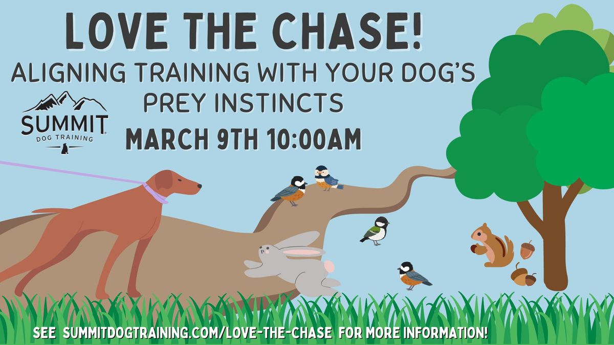 Love The Chase: Aligning Training With Your Dog\u2019s Prey Instincts