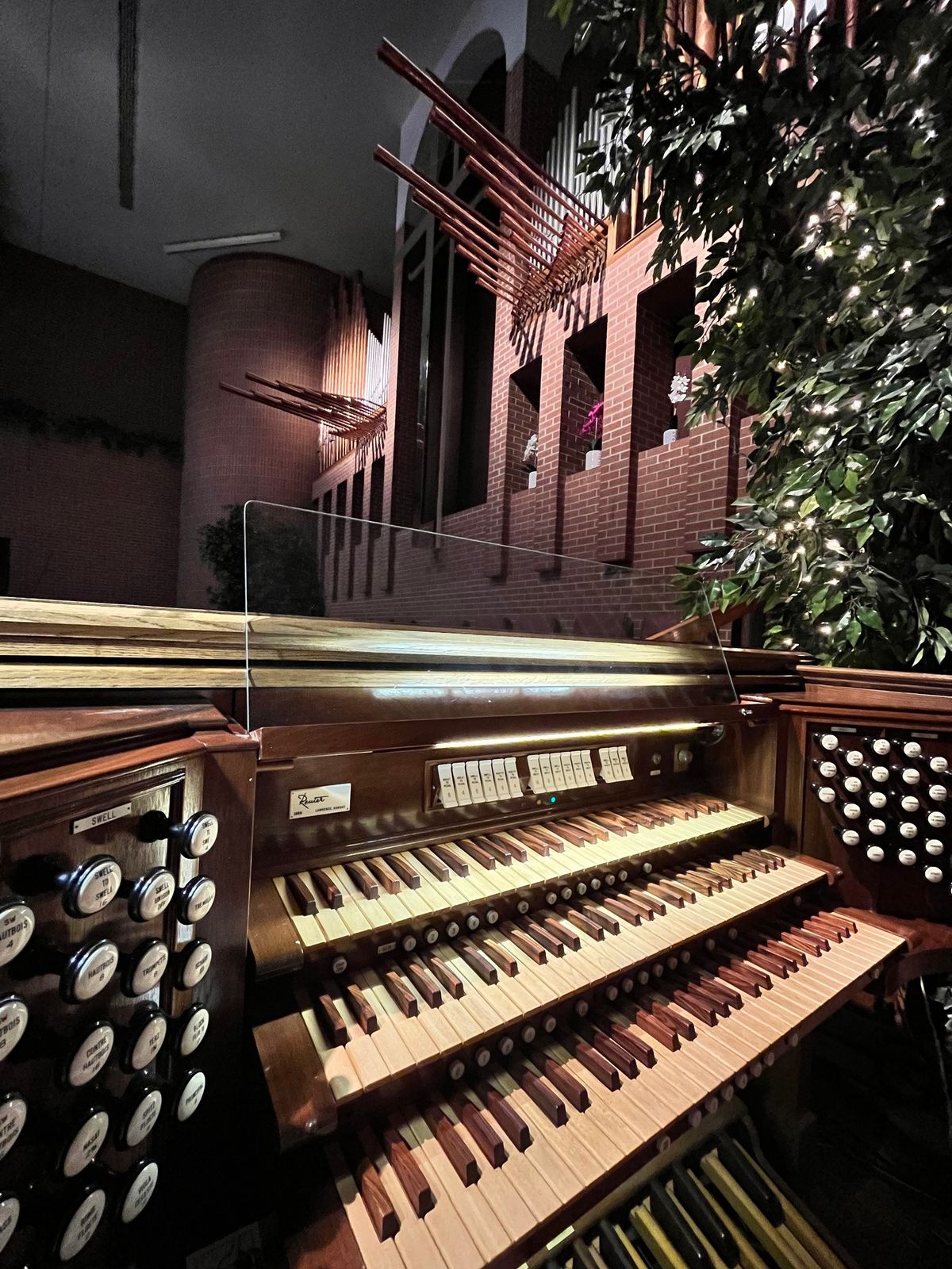 Meet the Organ