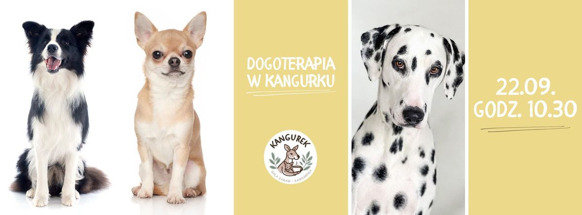  \ud83d\udc15Dogoterapia w Kangurku - bezp\u0142atne zaj\u0119cia pokazowe\ud83d\udc36