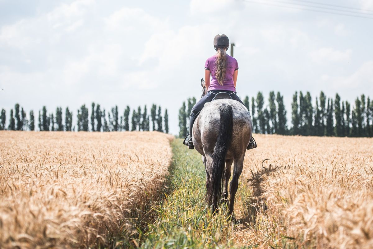 Guided Ride Weekend Camp to include Chatsworth Park