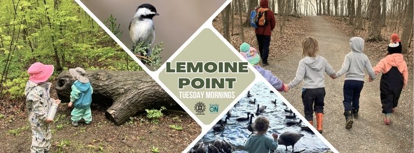 Lemoine Point Nature Walk with Kahwa:tsire & EarlyON