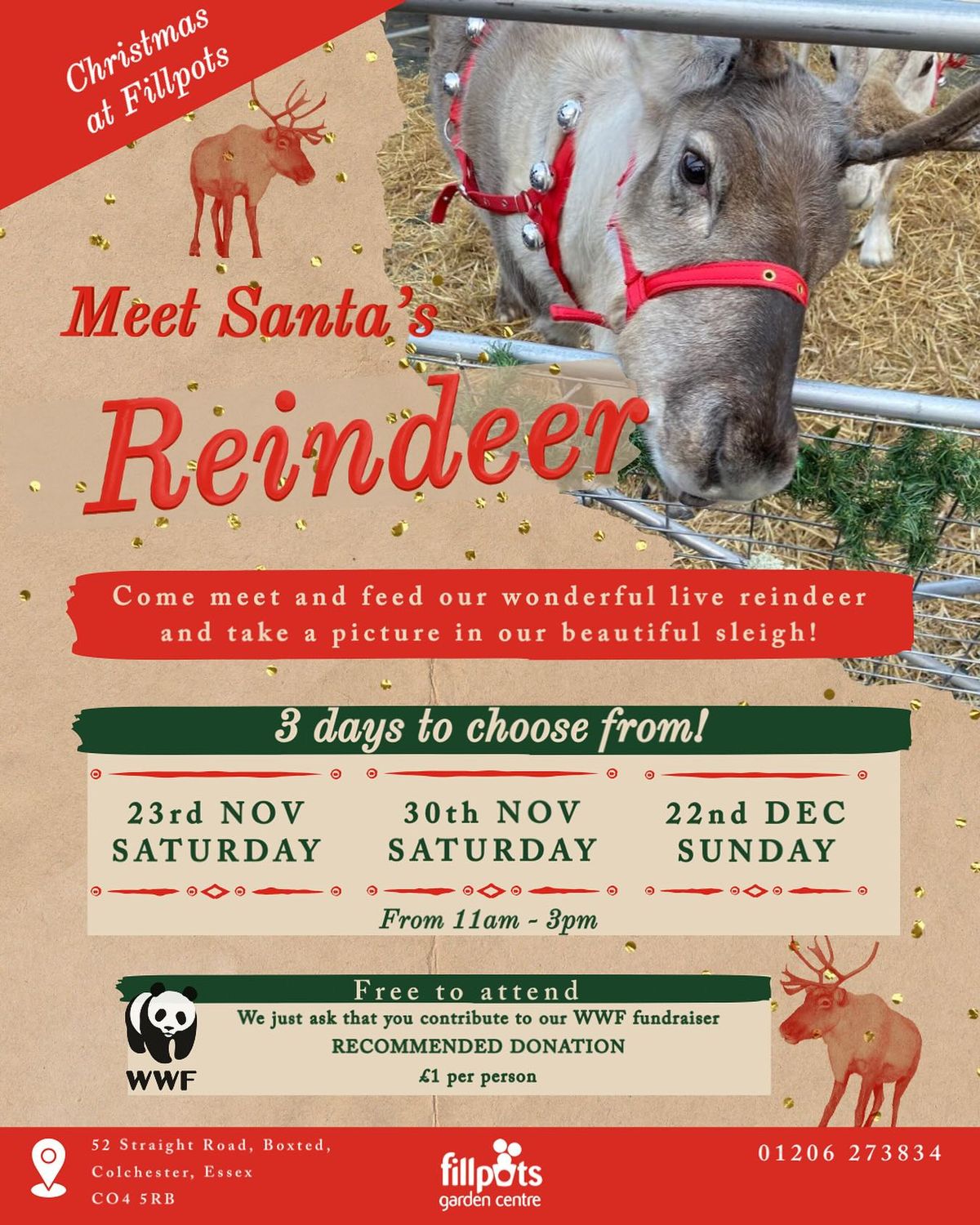 Meet Santa\u2019s Reindeer!