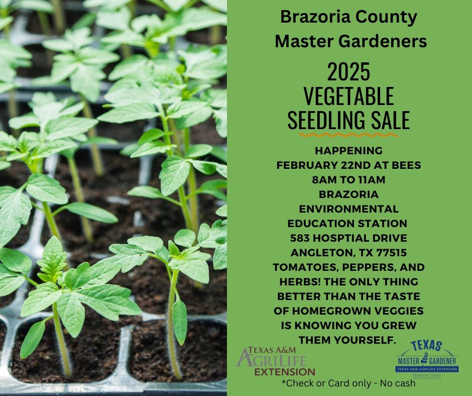 Brazoria County Master Gardeners 2025 VEGETABLE SEEDLING SALE