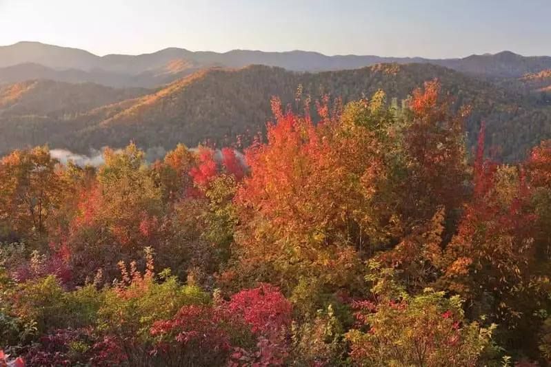 SOLD OUT -Trees of Many Colors Tour Weekend Getaway Great Smoky Mountains Gatlinburg $149 Per Couple