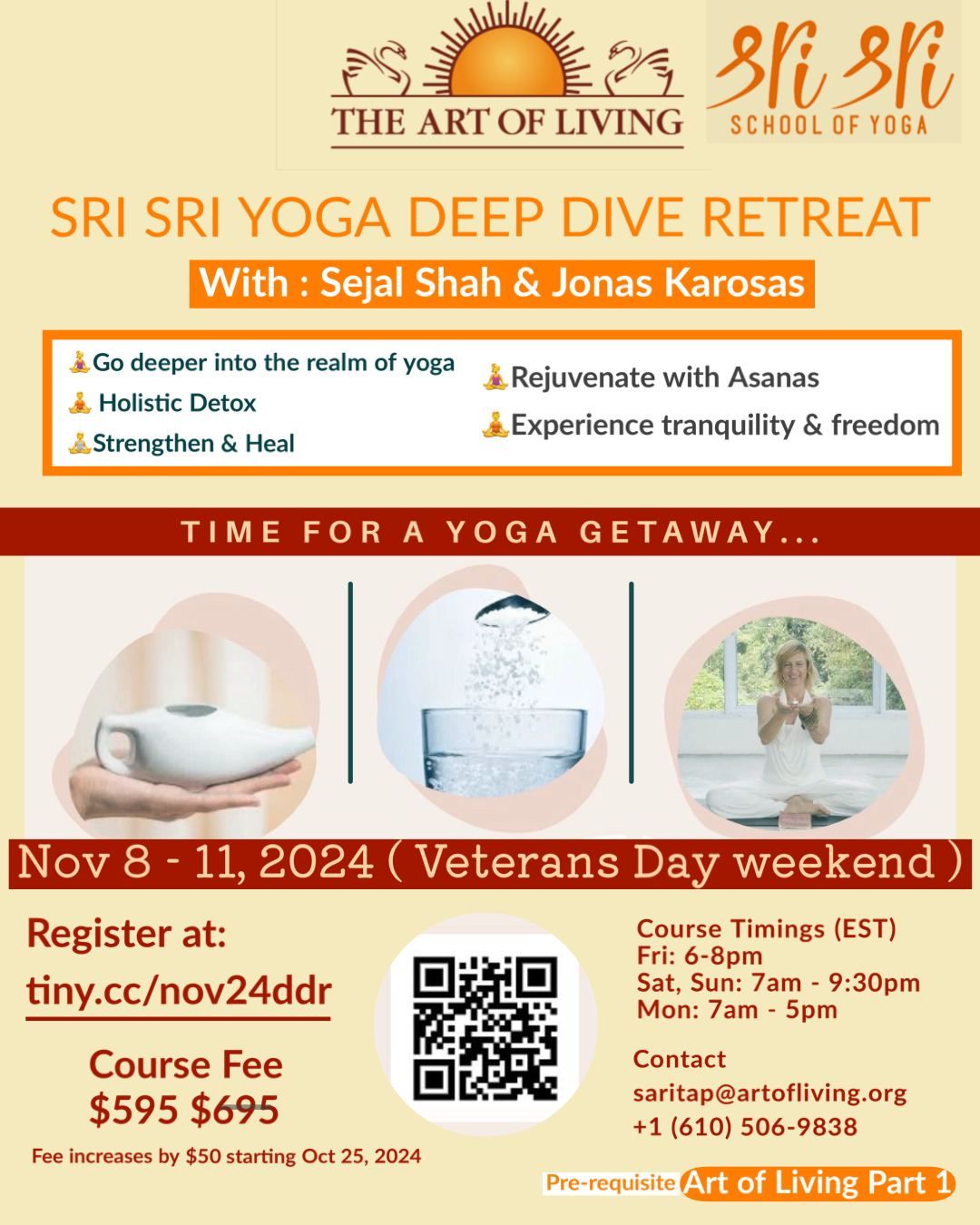 Sri Sri Yoga Deep Dive Retreat