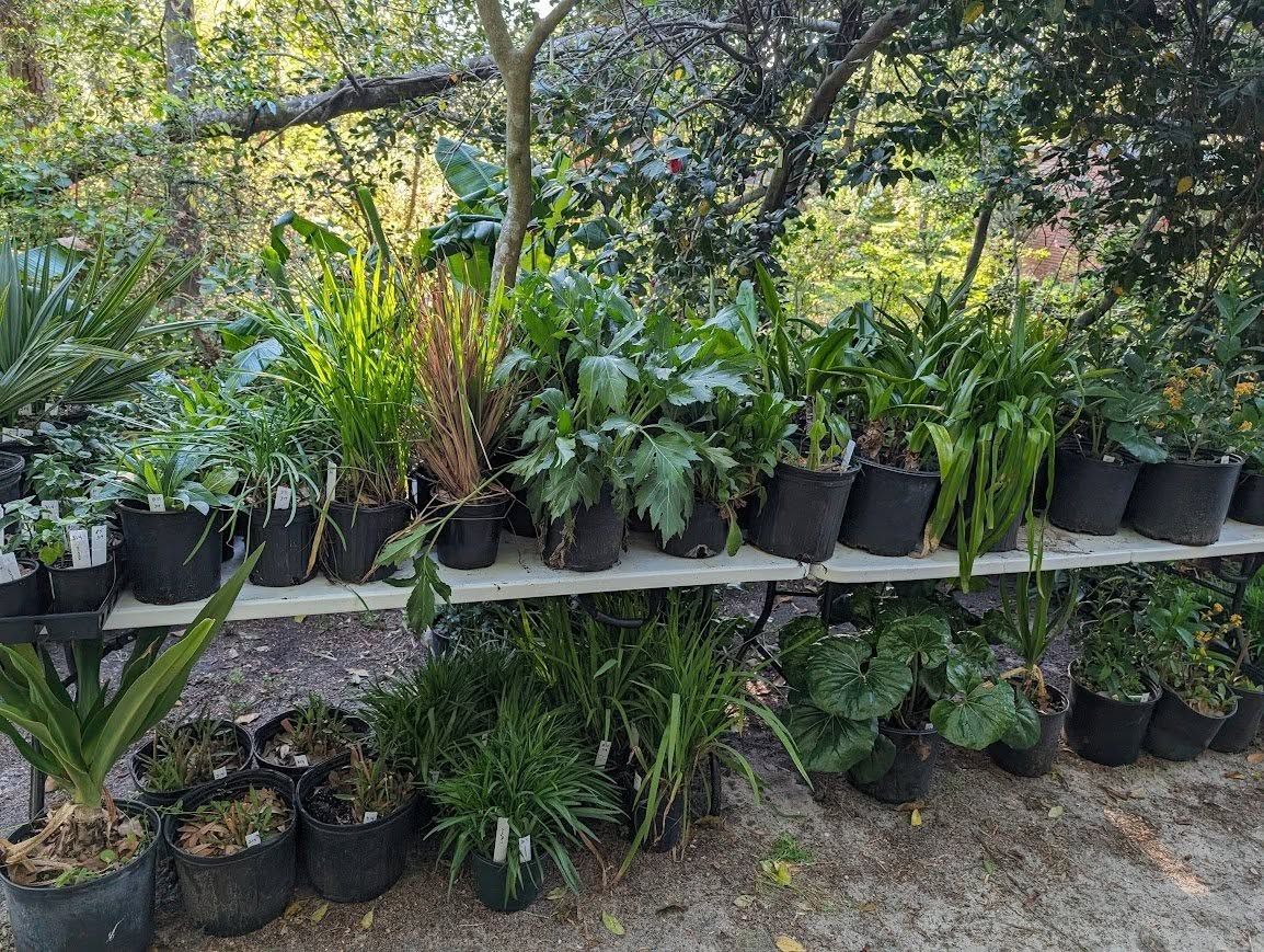 HGC Spring Plant Sale