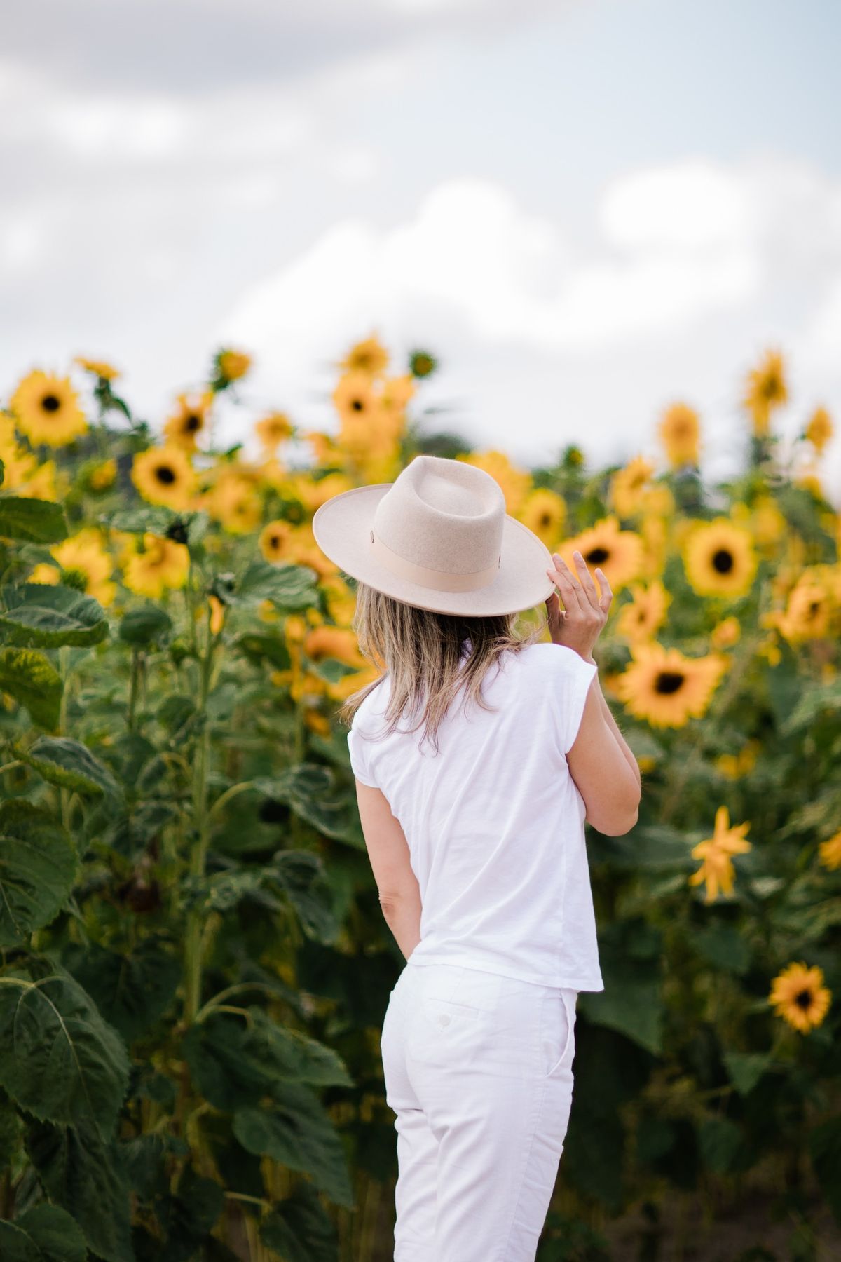 Sunflower Festival at The Pumpkin Farm and Puzzle Patch