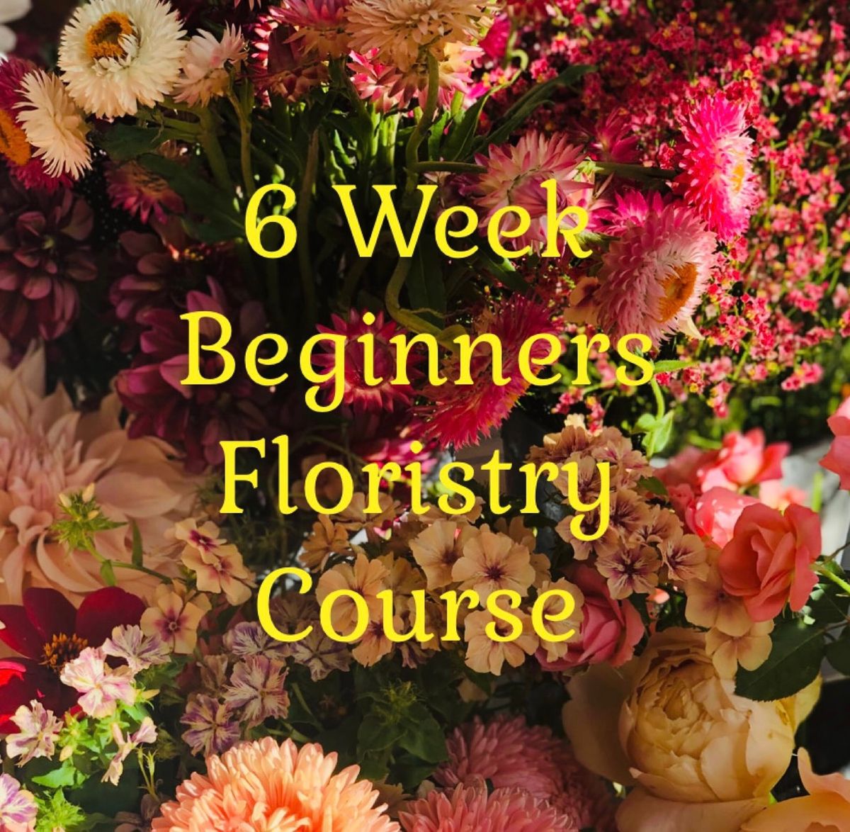 Floristry - 6 Week Beginners Workshop 