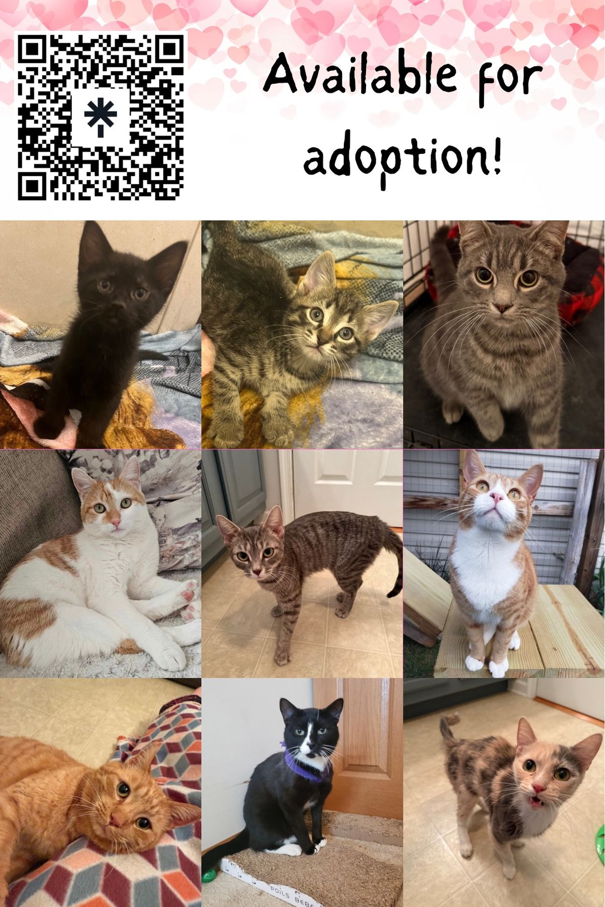 Adoption Event