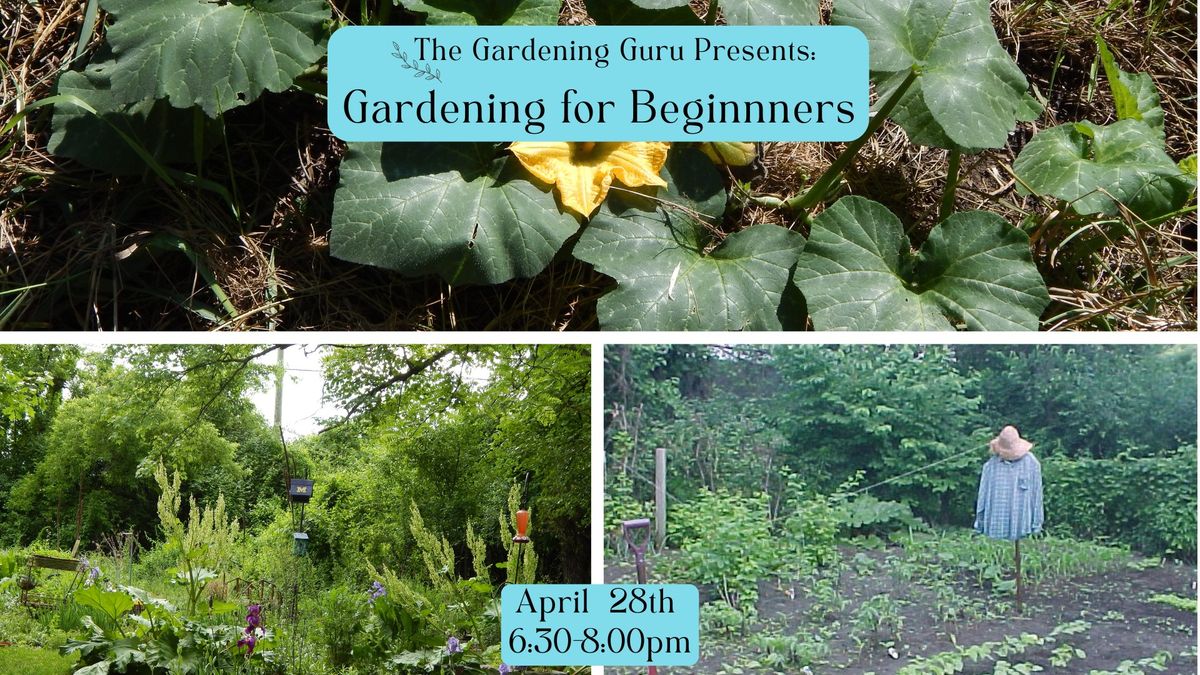 Gardening for Beginners